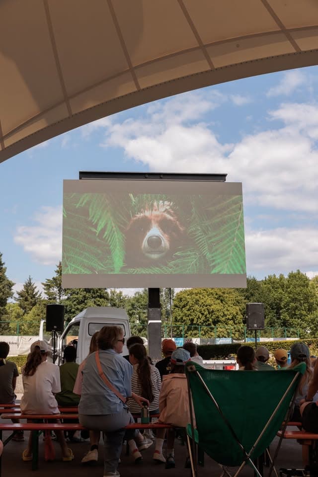 Cinéma d'été