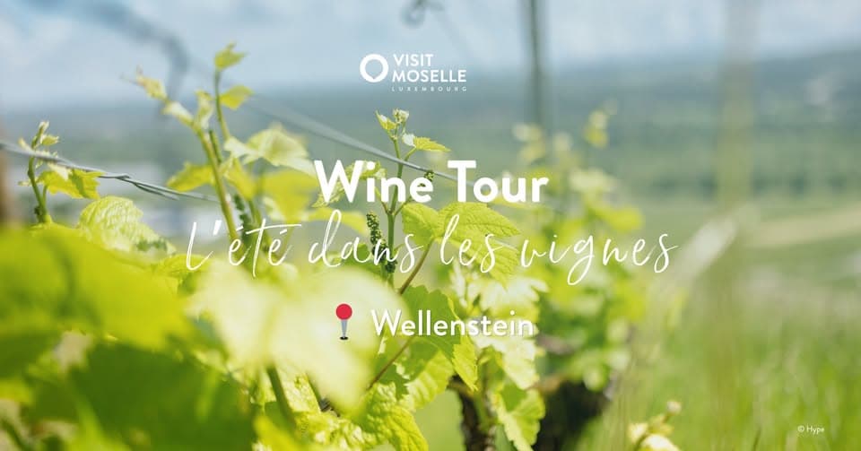 Afterwork Wine Tour - L'été dans les vignes