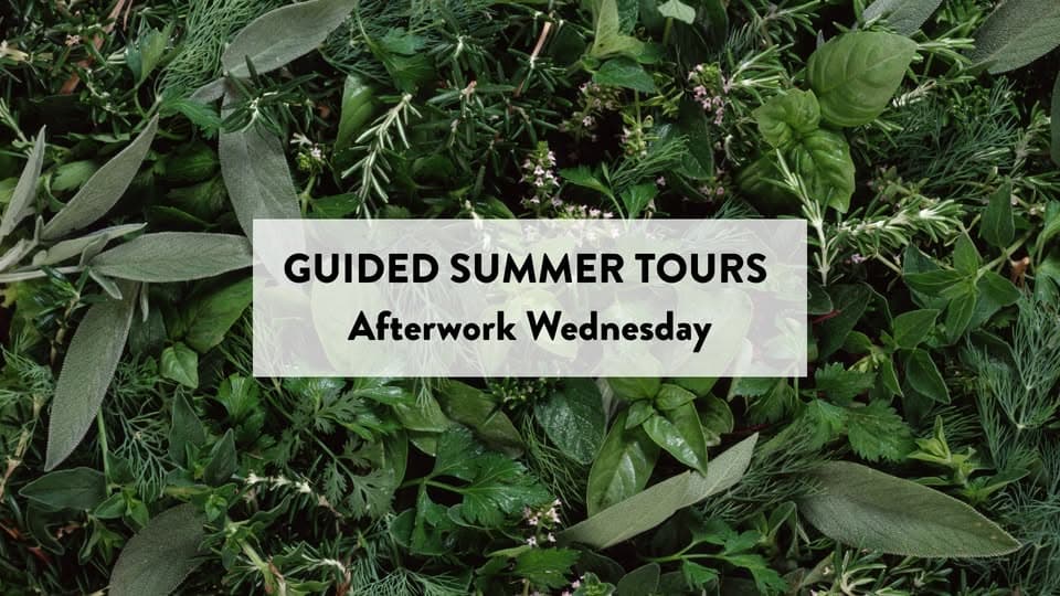 Discovering Wild Plants