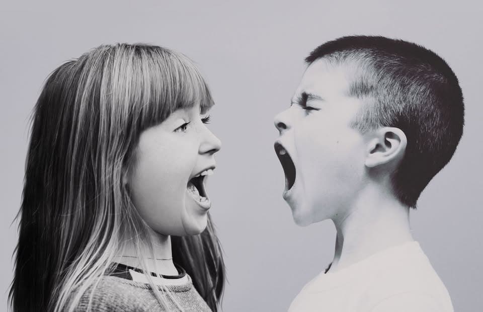 Children, Their Emotions and Us – Accompanying Big Feelings