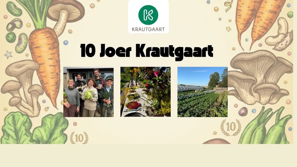 10 ans de Krautgaart