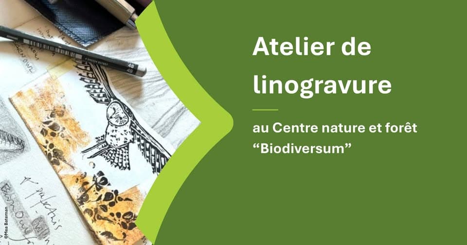 Atelier de linogravure pour les amoureux de la nature
