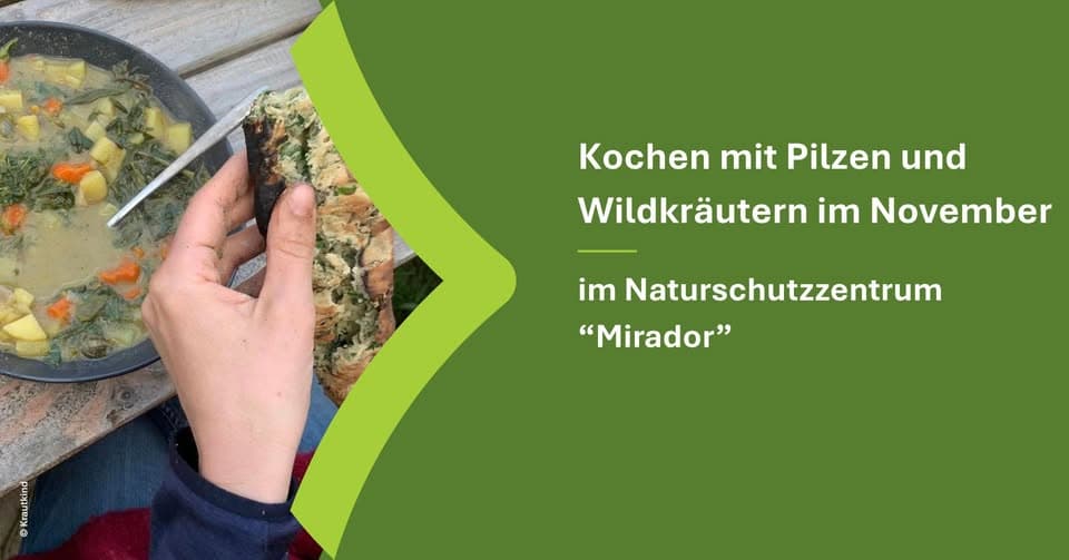 Cooking with mushrooms and wild herbs in November