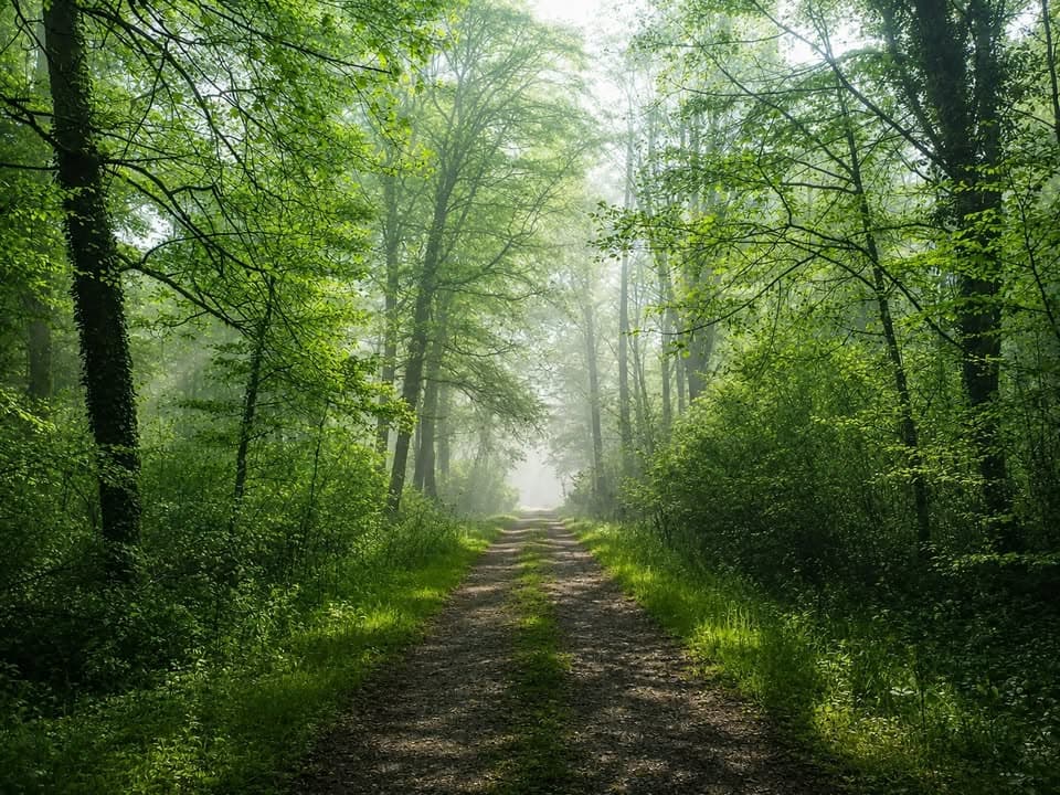 Hike “Around Grand Musson”