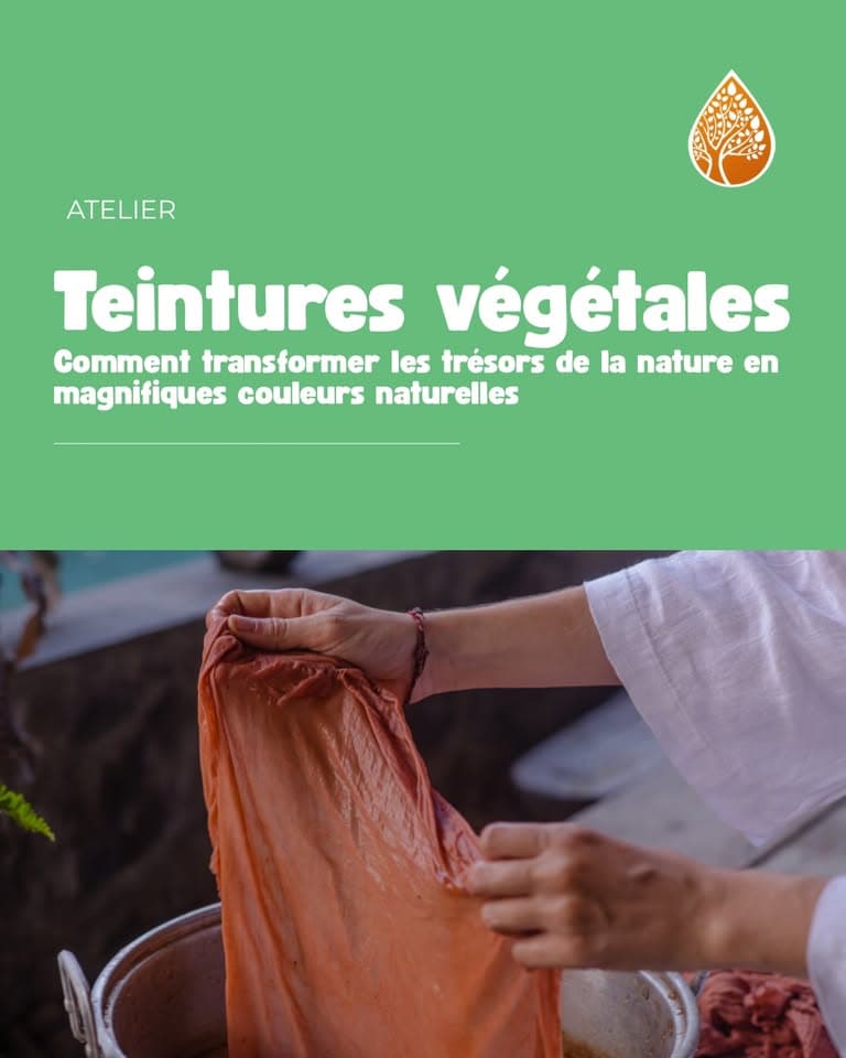 Atelier - Teintures végétales