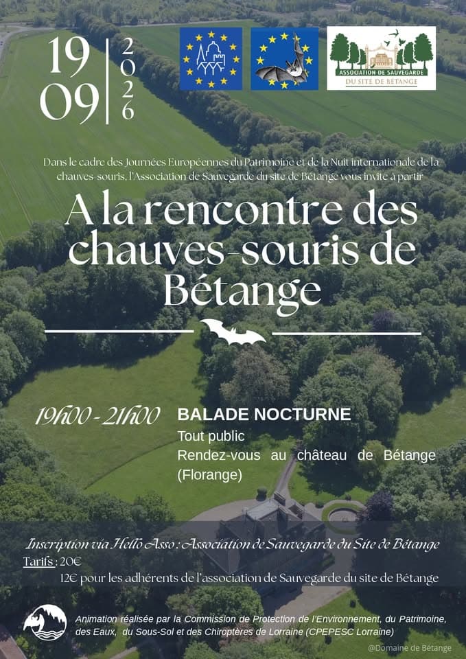 À la rencontre des chauves-souris de Bétange