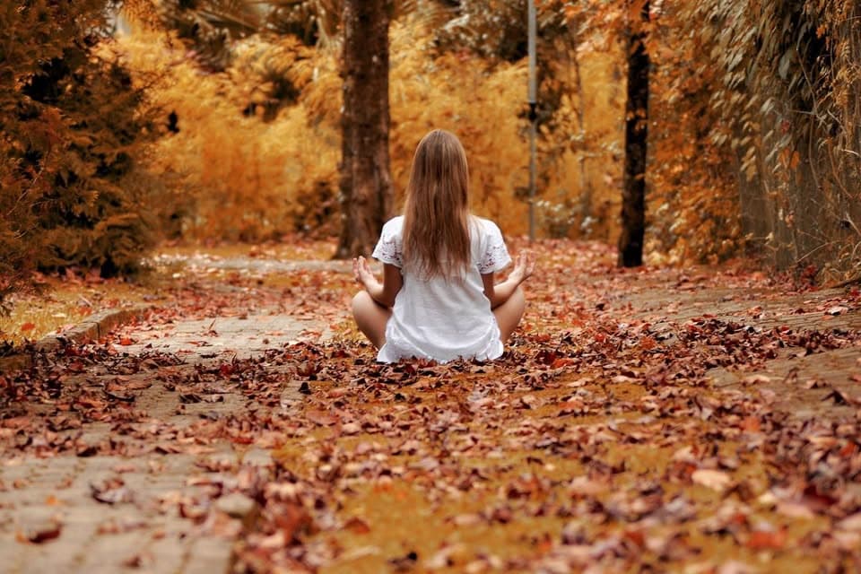 Forest Bathing and Sylvotherapy – An Immersive Experience