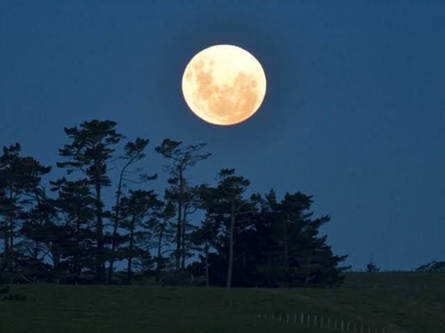 Astronomy Evening
