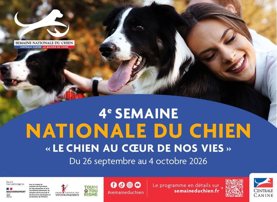 National Dog Week