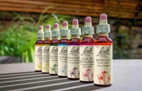 Free talk on Bach flower remedies with Christiane Goeres