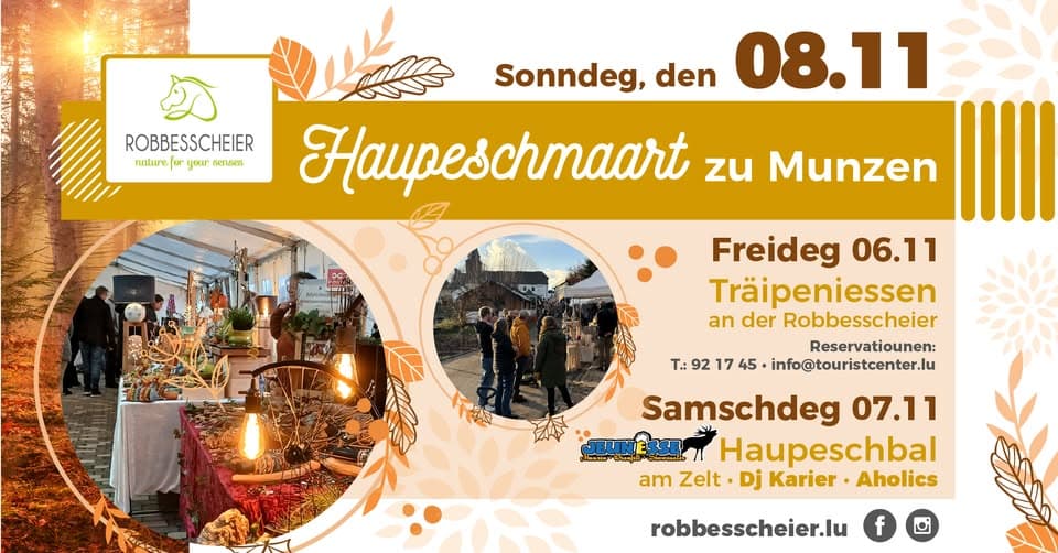 37th Haupeschmaart in Munzen