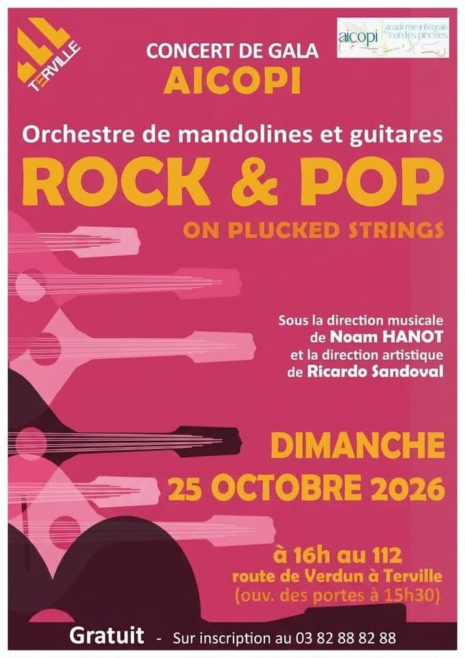 Rock & Pop on Plucked Strings, à Terville !