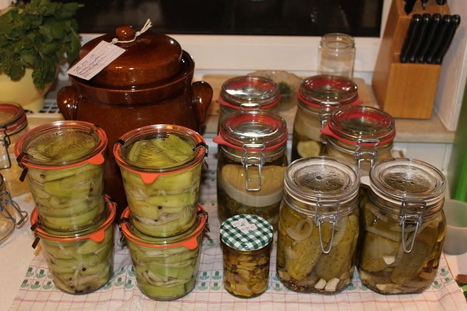 Atelier sur la lactofermentation
