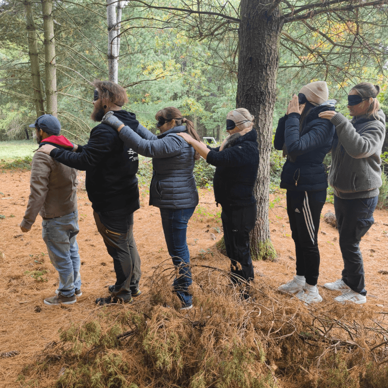 Forêt, jeu et plaisir – découvrir le mouvement dans la nature