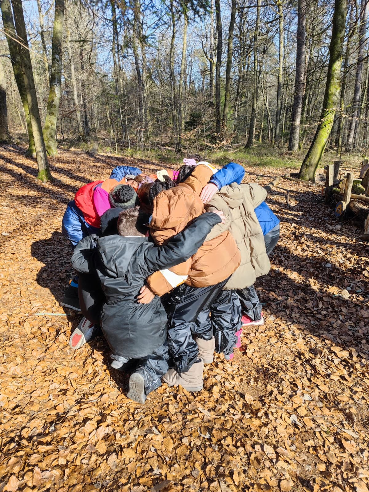 Soutien linguistique en forêt
