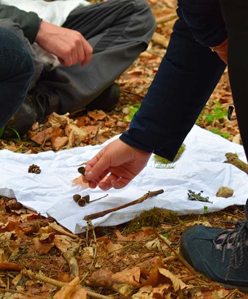 Moins c’est plus – Jeux en forêt avec peu de matériel