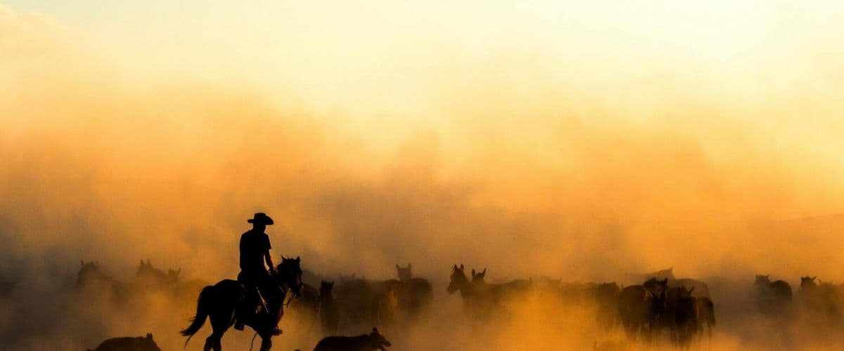 Tuffi - Atelier Junior (4-6), une journée dans le Far West