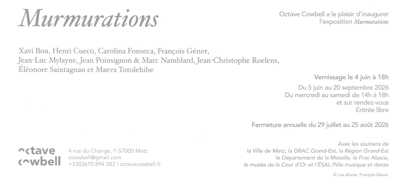 Exhibition - Murmurations