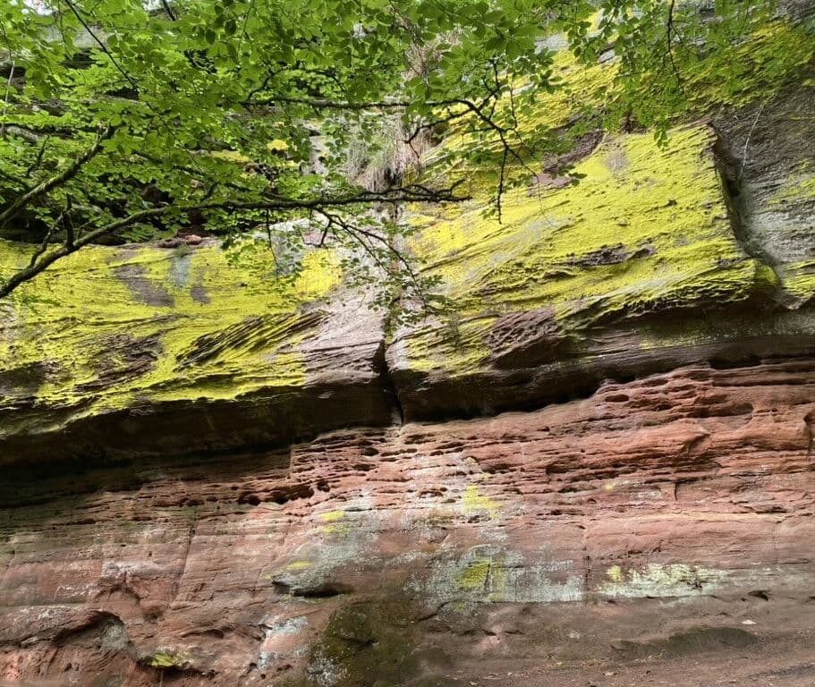 Le Mur