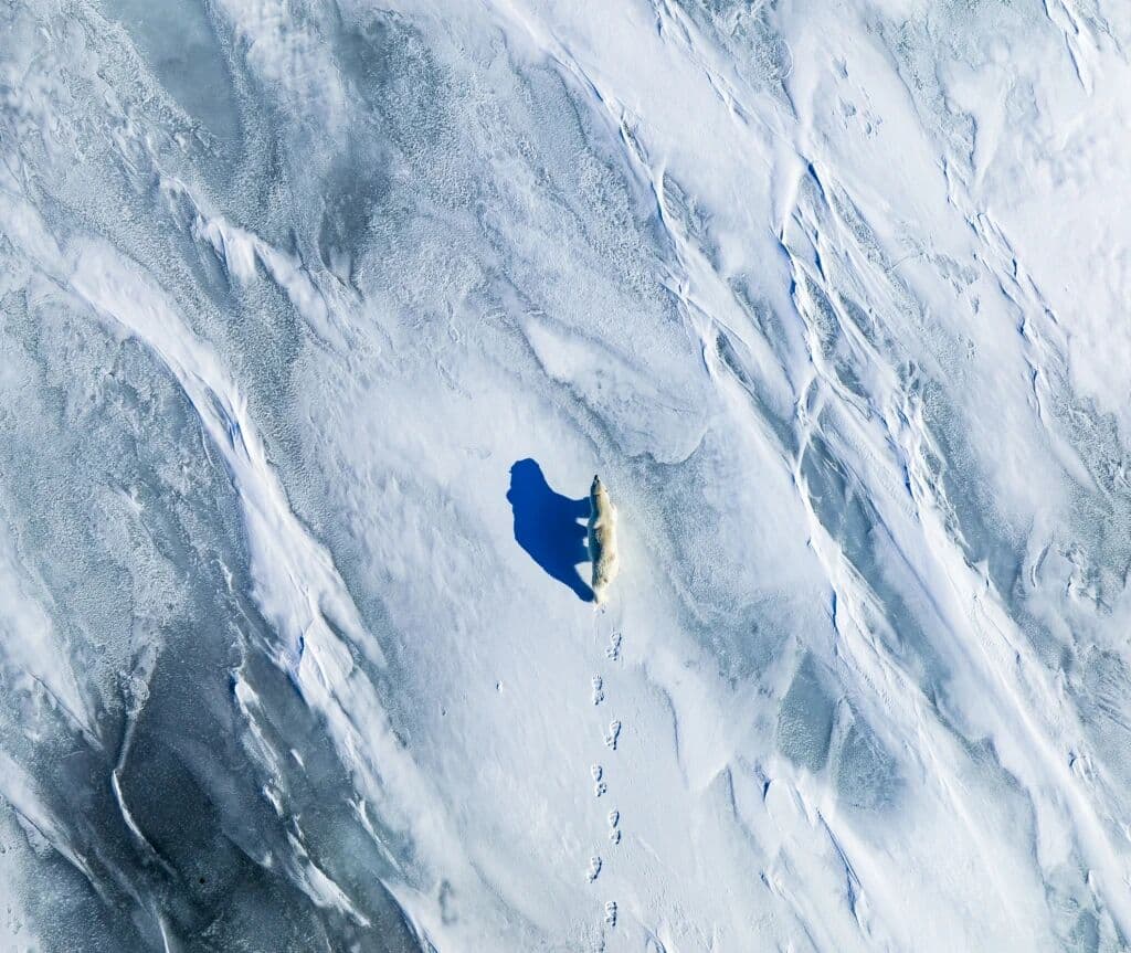Arctic Confluences