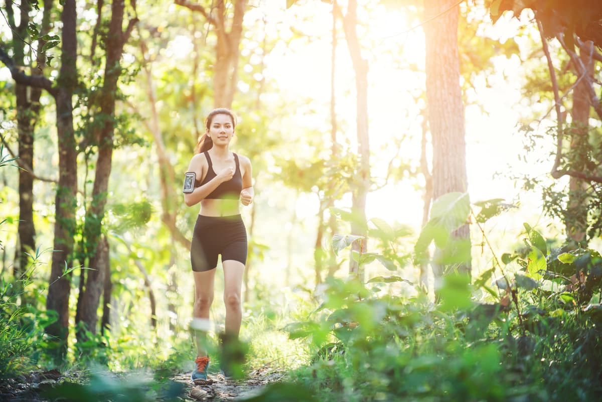 20km de Bastogne - Trail du Souvenir