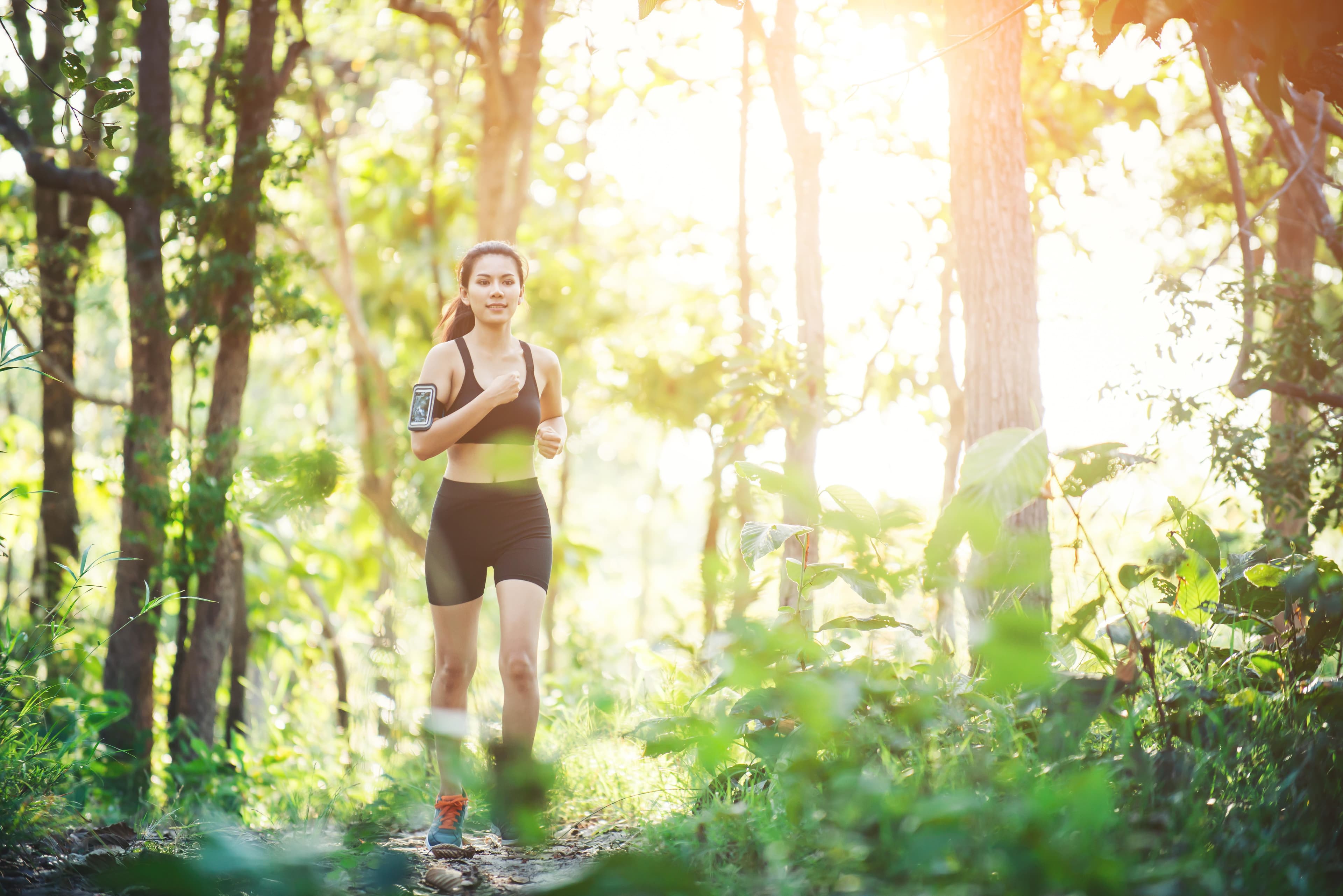 20km de Bastogne - Trail du Souvenir