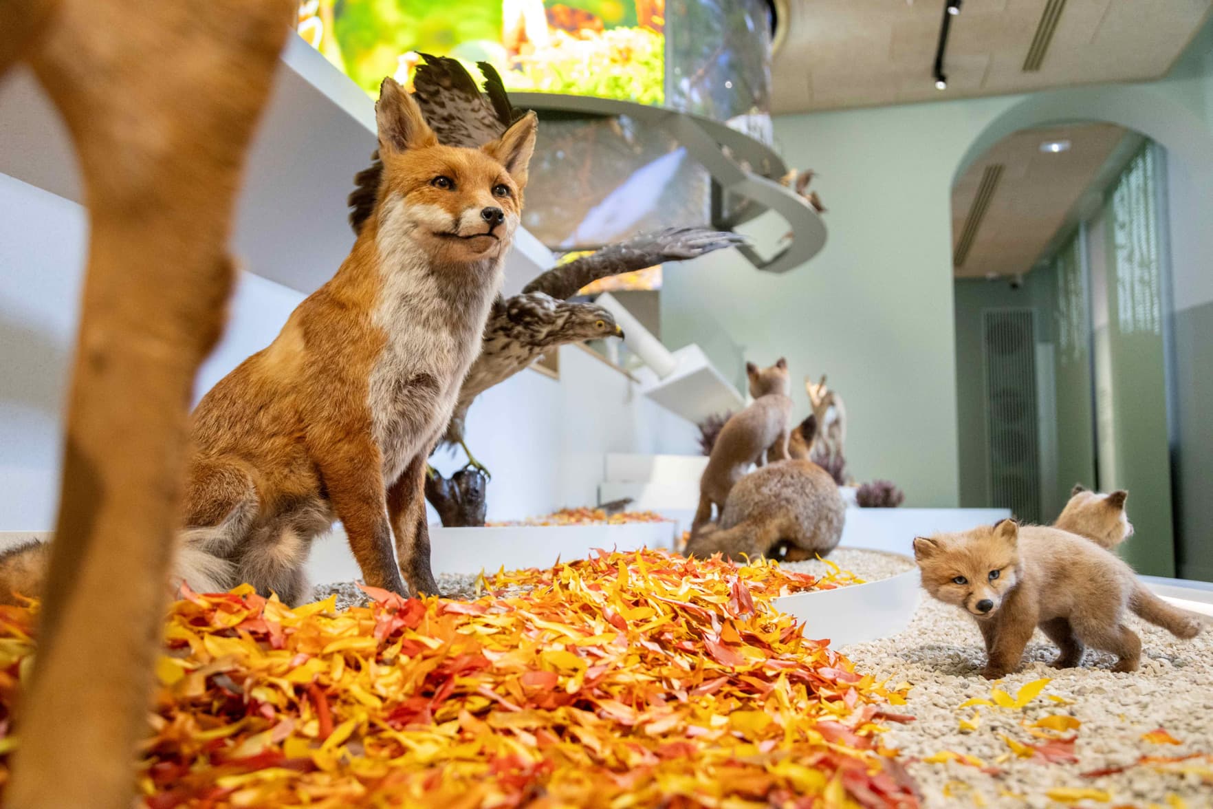 La petite vadrouille au Pavillon - Visite familles