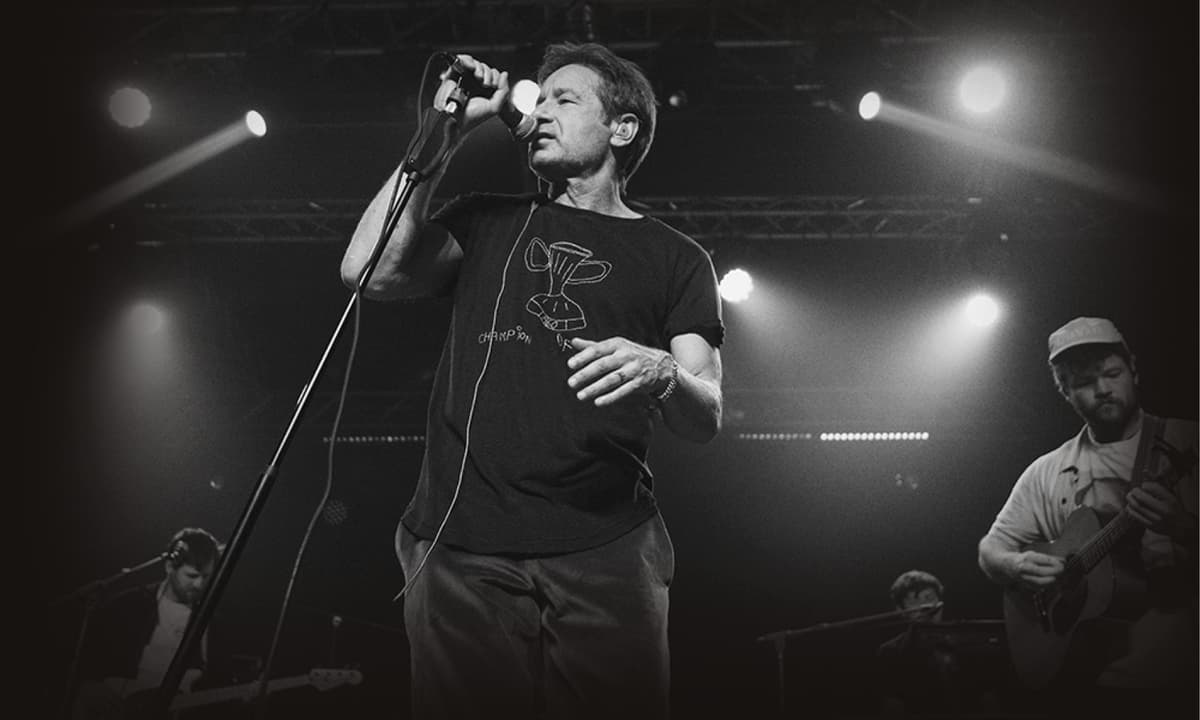 David Duchovny - pop concert
