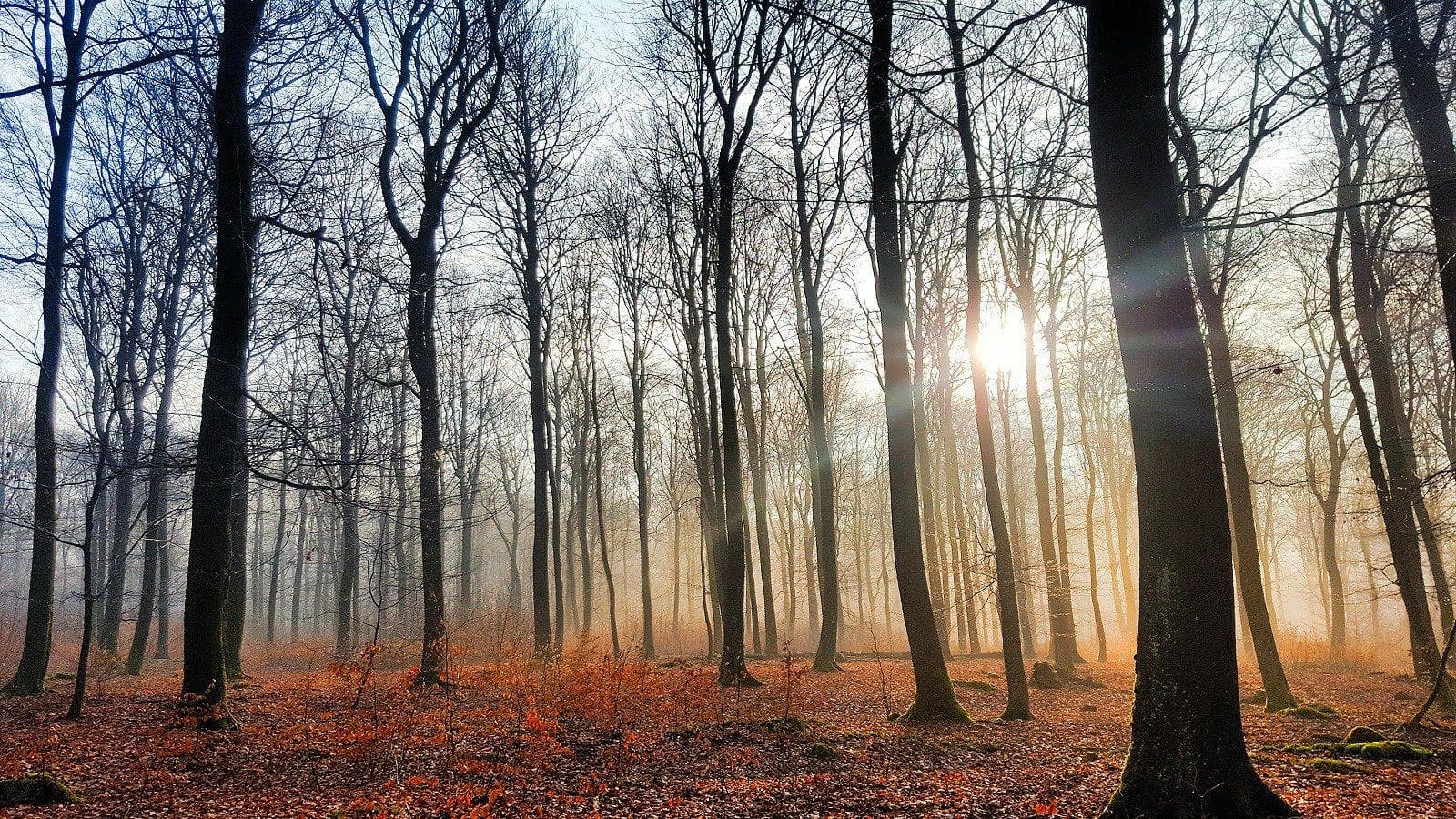 Balade des 4 saisons "Automne"