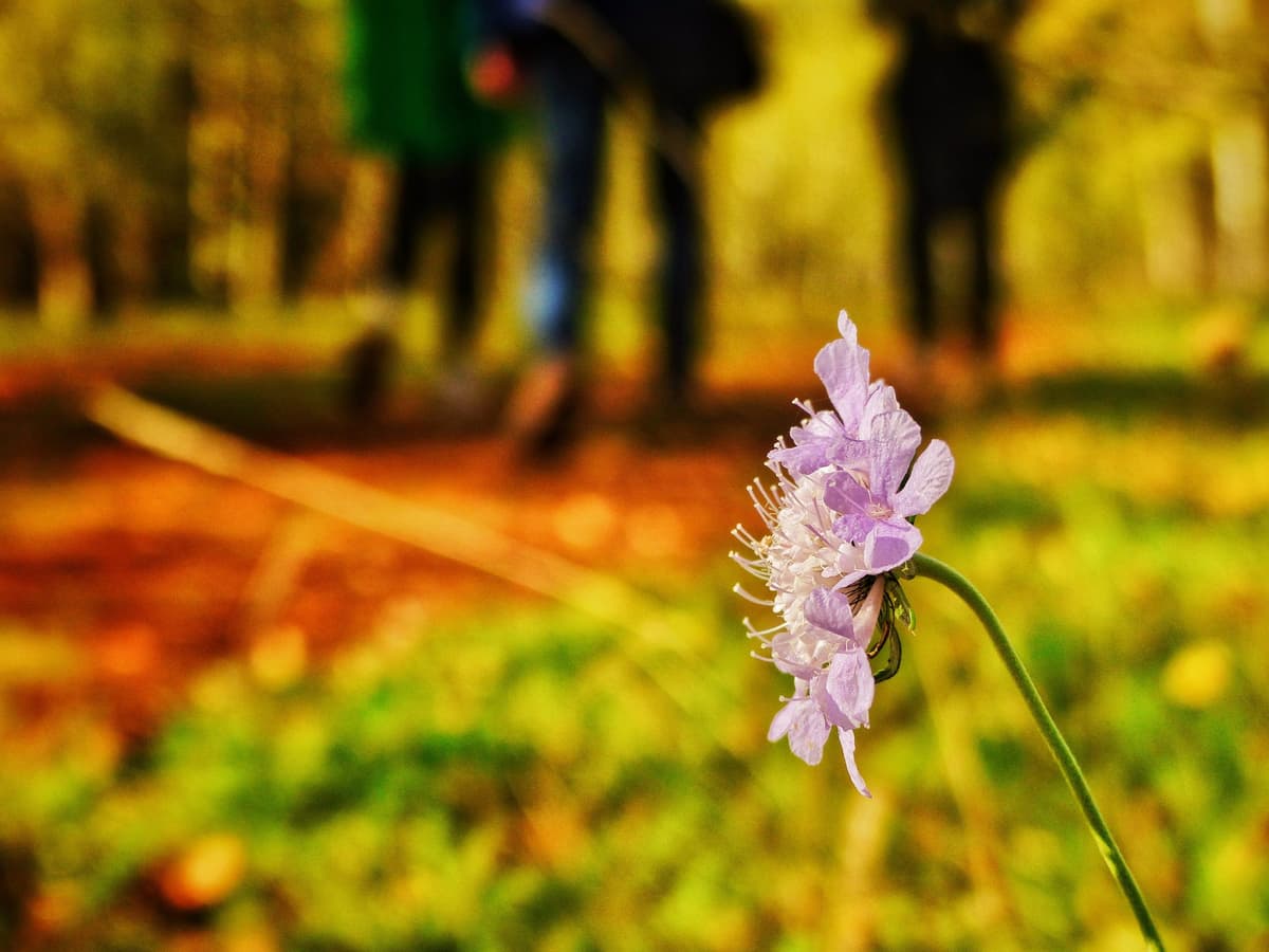 Hiking by Ursula