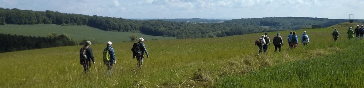 Journée au four et au moulin