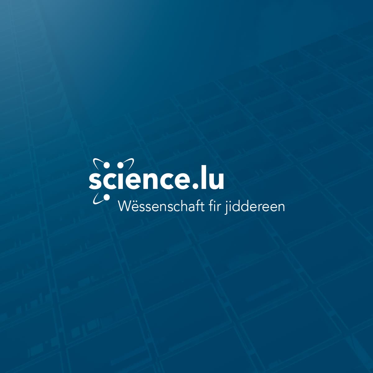 Slime, fusées et grands WOWs - Camp scientifique pratique