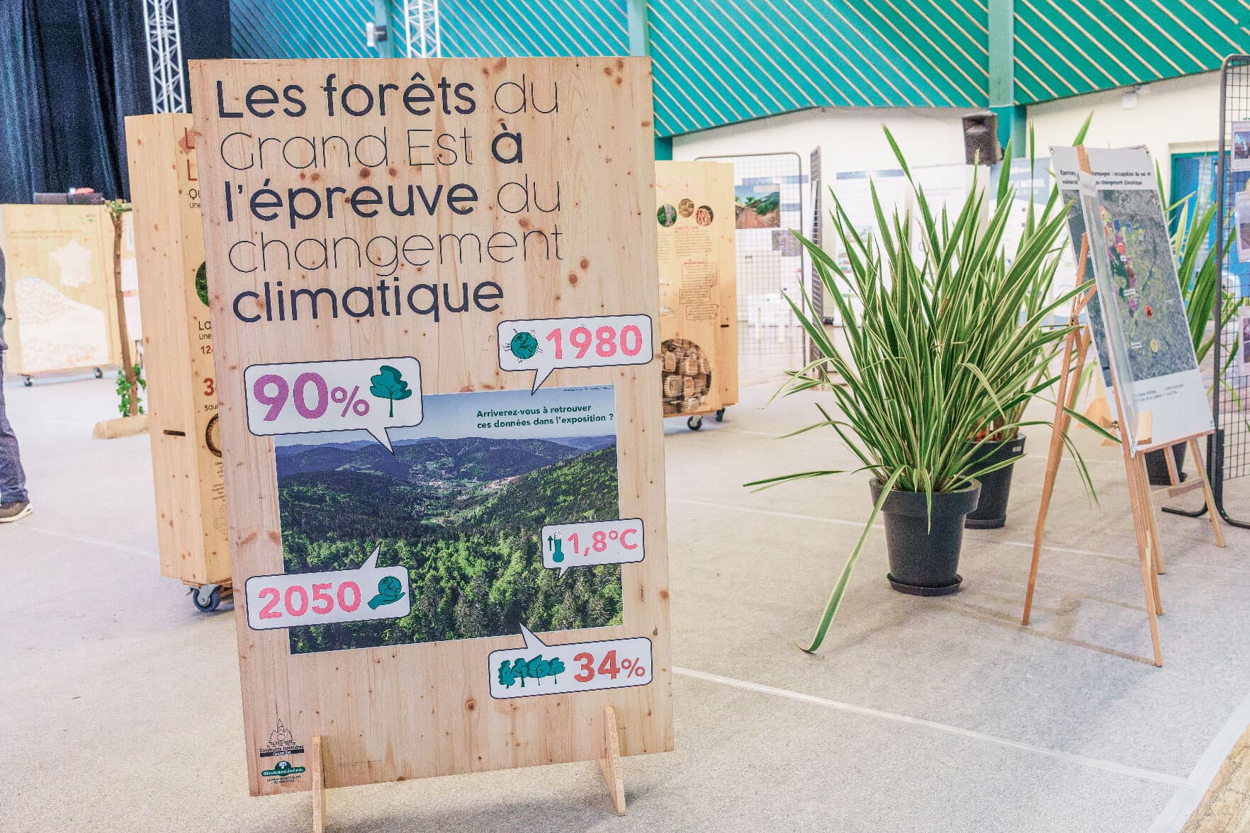Les forêts du Grand Est face au changement climatique