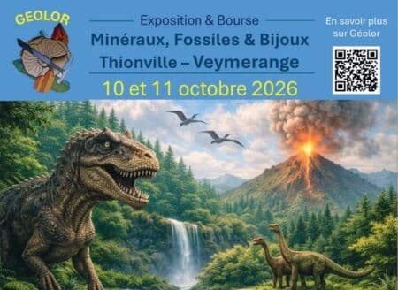 Geolor: Mineral, Fossil & Jewelry Exhibition and Exchange