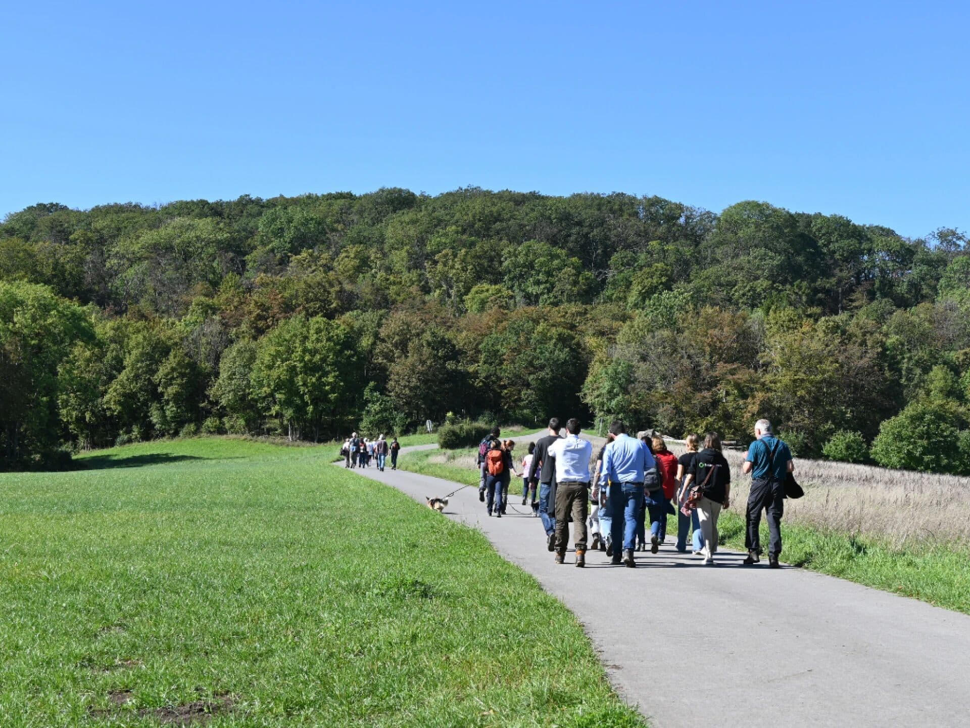 Marche et échange (4-6 km)