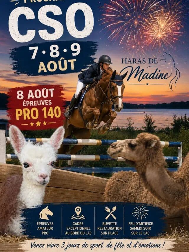 Concours de saut d’obstacles