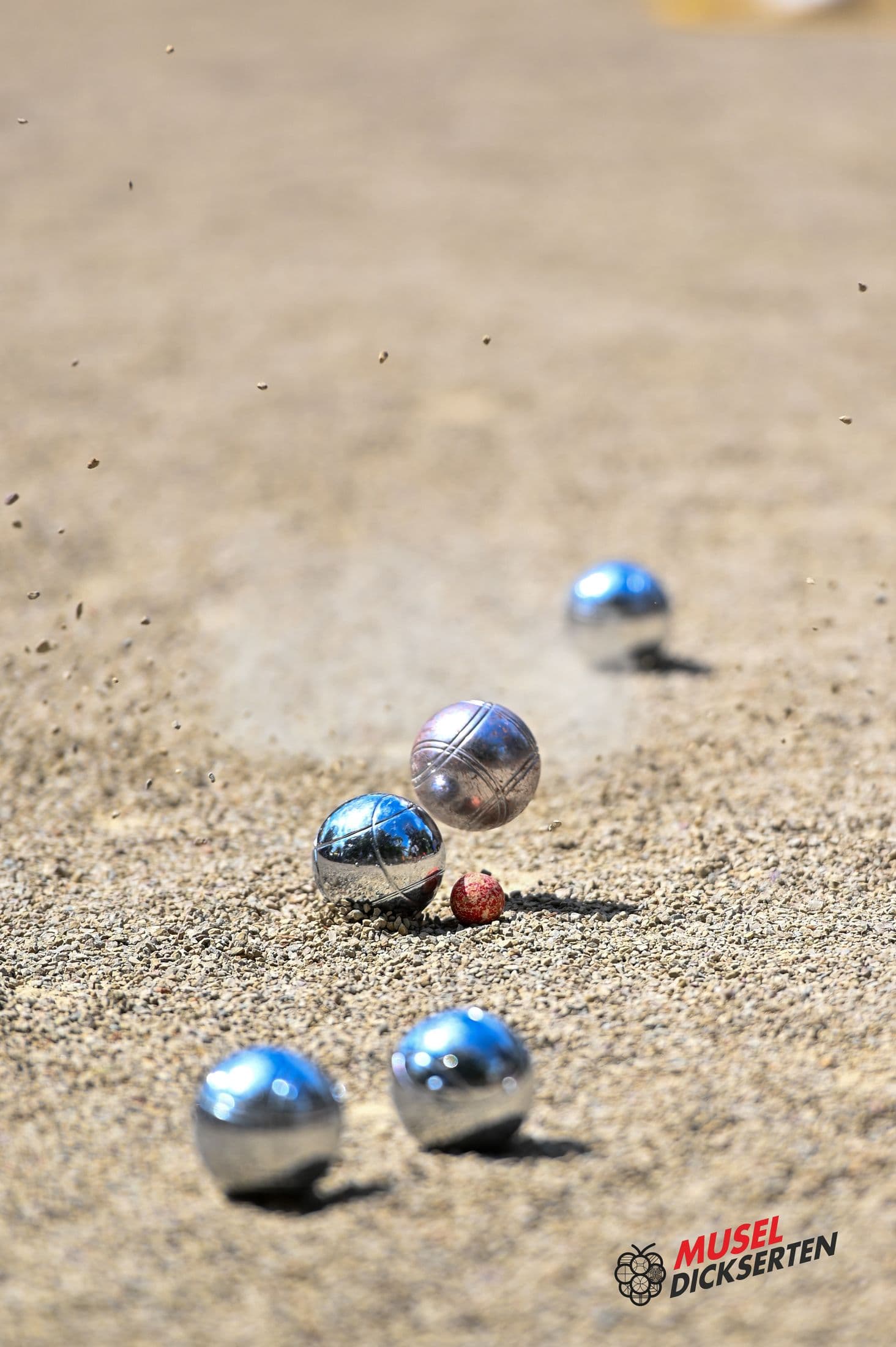 Petanque tournament