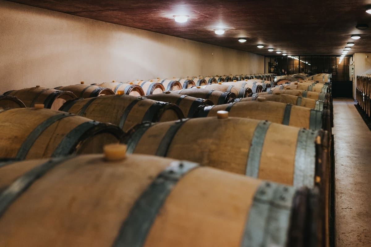 Bourgogne Tasting