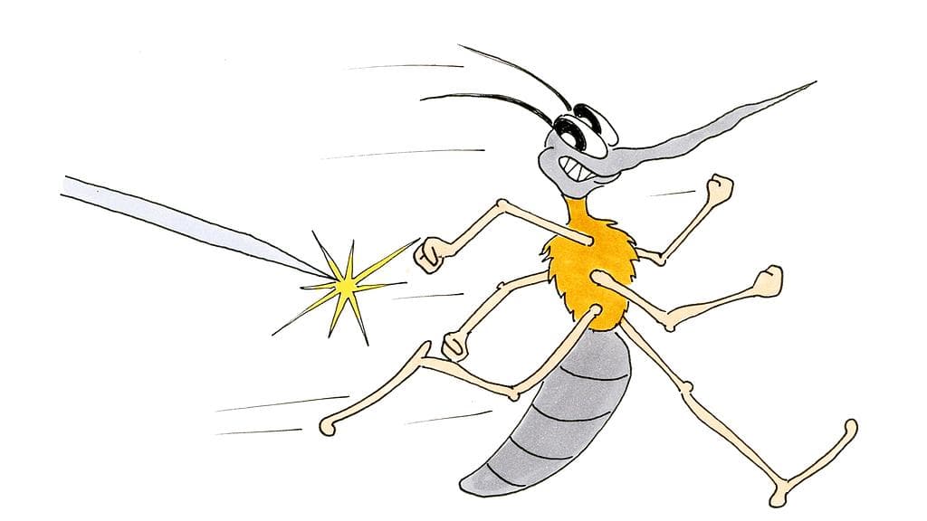 Insect collection (ages 9-10)