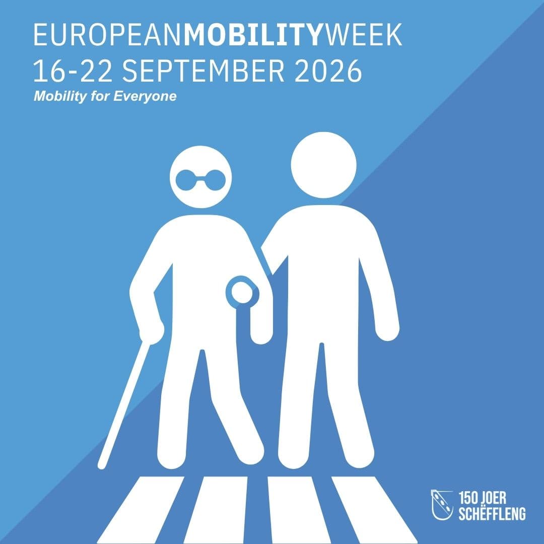 On the move with all your senses: rethinking mobility