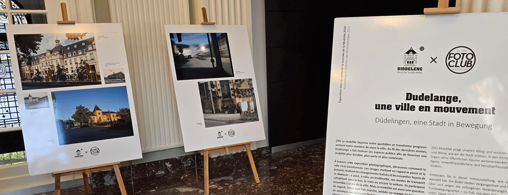 Exhibition: Mobility