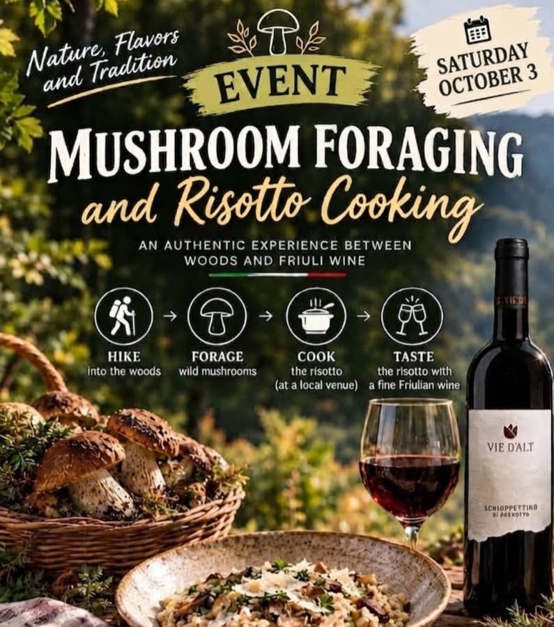 Expérience de cueillette de champignons et de risotto au Luxembourg