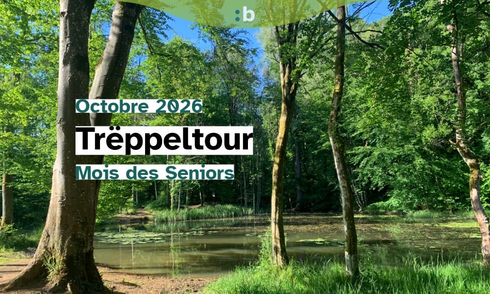 Randonnée : découvrez le sentier nature à travers l’Ellergronn