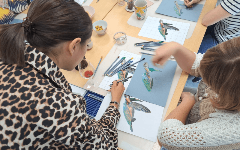 Atelier - Dessin animalier Papillon de nuit