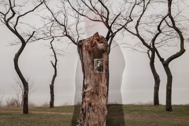 L’avenir du passé de la photographie