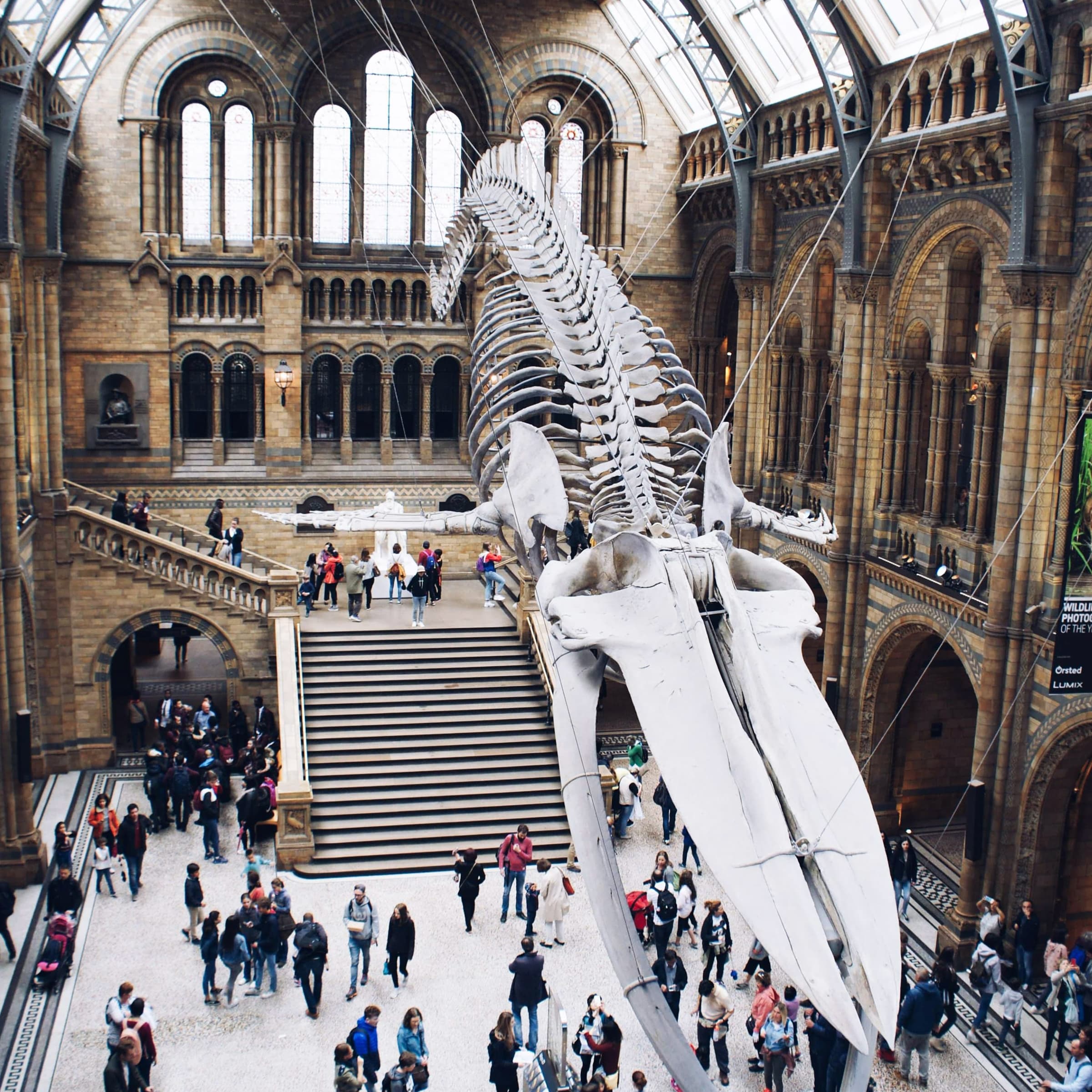 Le Musée Ephémère des Dinosaures