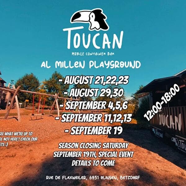 Toucan au terrain de jeux Al Millen