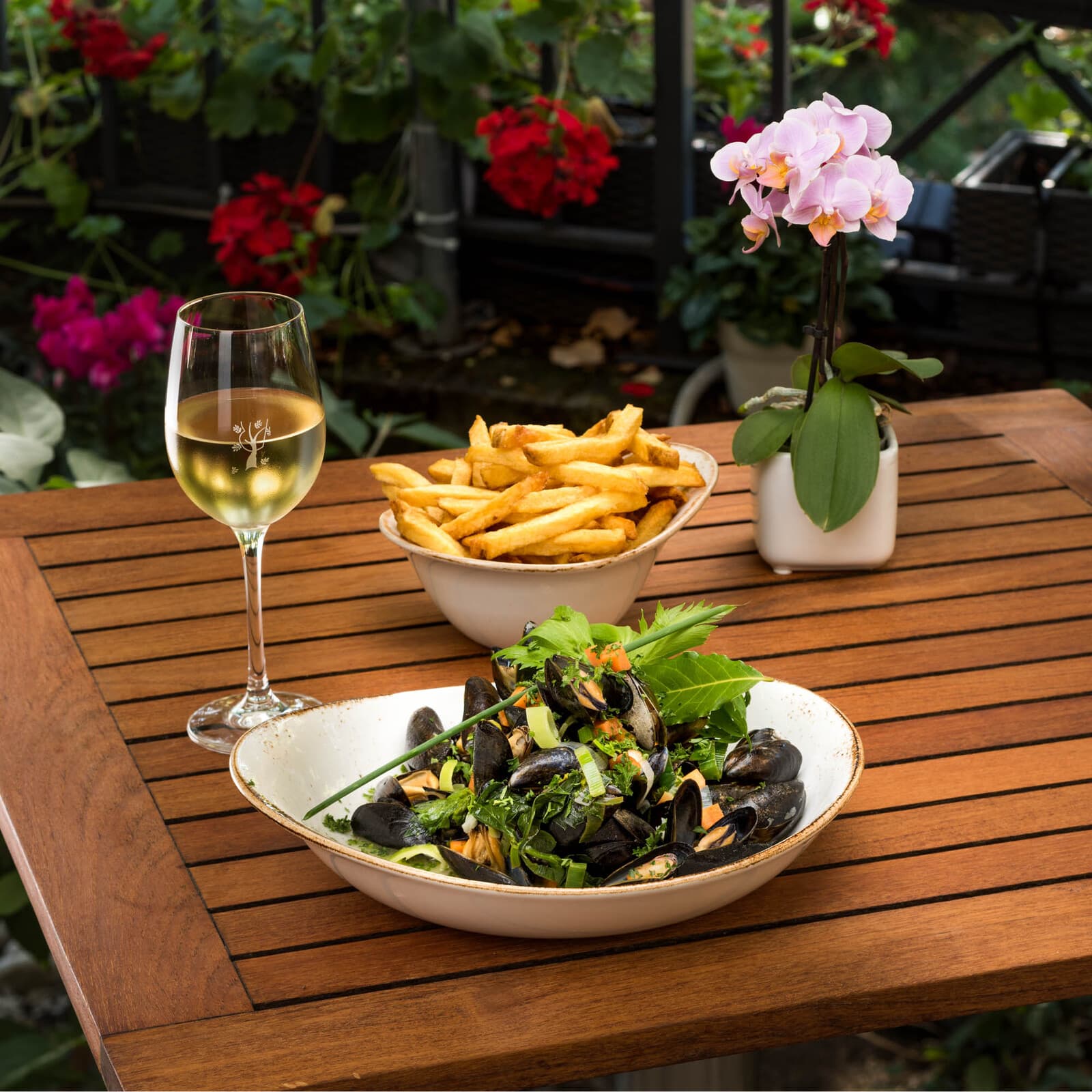 Soirée moules à volonté