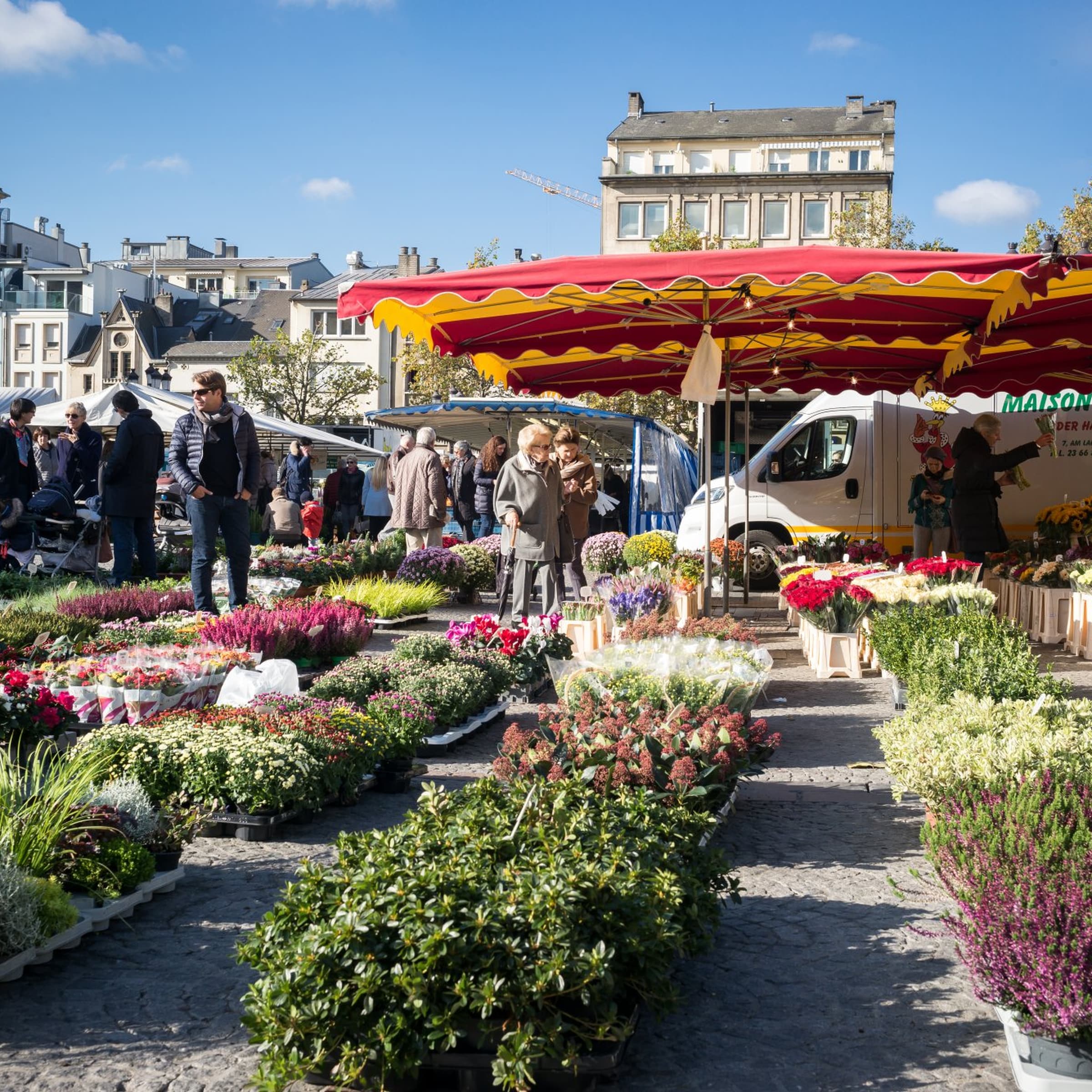 Viens faire un tour aux marchés de la capitale