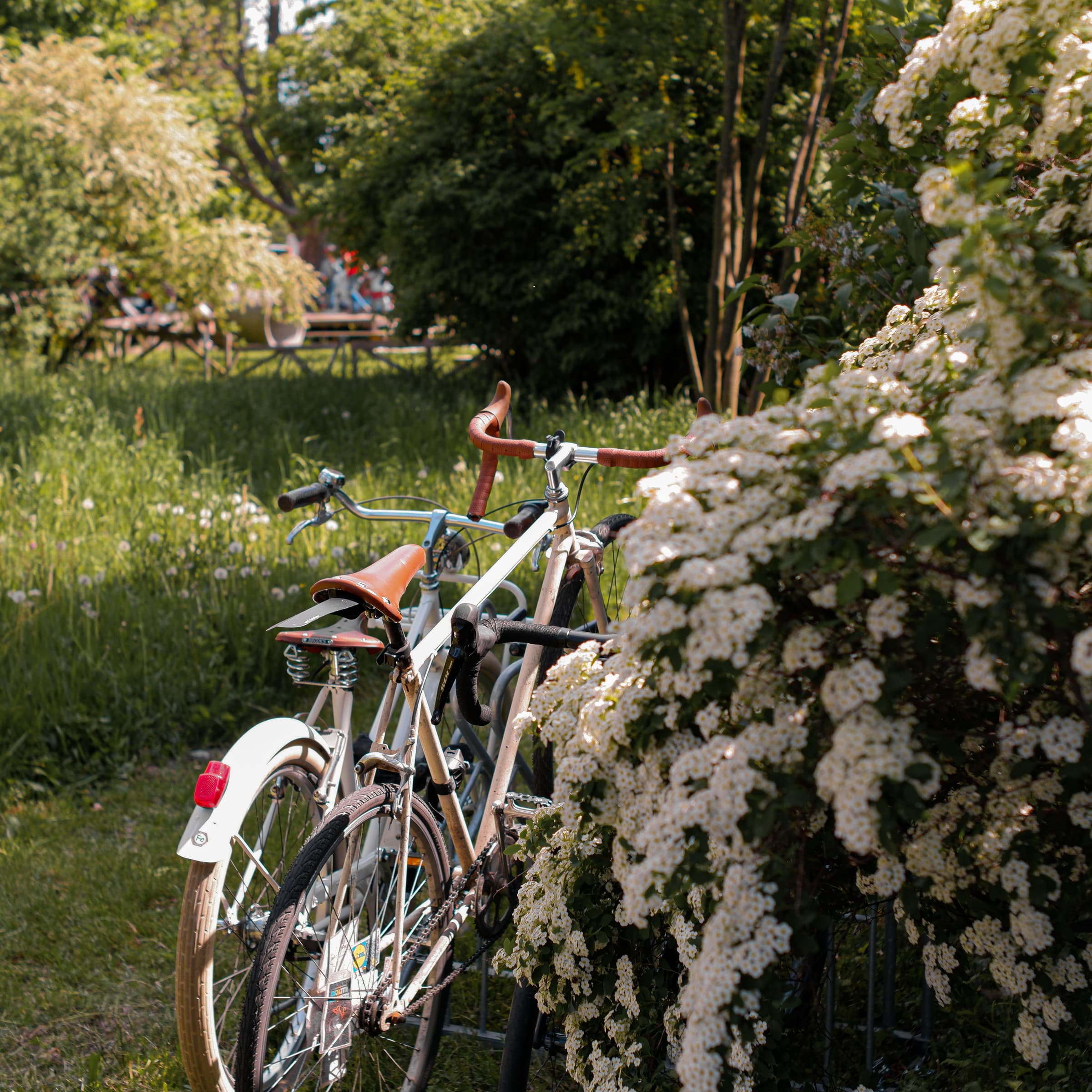 All in the saddle for a car-free day!